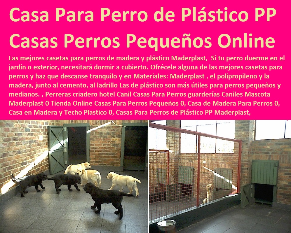 , Perreras criadero hotel Canil Casas Para Perros guarderías Caniles Mascota Maderplast 0 Tienda Online Casas Para Perros Pequeños 0, Casa de Madera Para Perros 0, Casa en Madera y Techo Plastico 0, Casas Para Perros de Plástico PP , Perreras criadero hotel Canil Casas Para Perros guarderías Agility De Perros, Pistas De Adiestramiento, Caninos Para Perros, Equipo De Agility Para Perros, Cunas Y Parideras Para Perros, Parques Para Perros, Corrales Para Perros, Jaulas cuidado de perros, Casas Para Perros Y Mascotas, Caniles Mascota Maderplast 0 Tienda Online Casas Para Perros Pequeños 0, Casa de Madera Para Perros 0, Casa en Madera y Techo Plastico 0, Casas Para Perros de Plástico PP